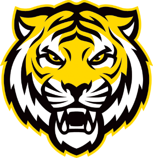 Dalhousie Women’s Hockey Exhibition game against vs Mount Allison