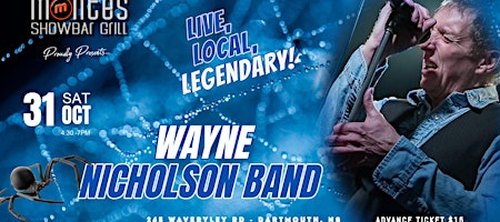 The Wayne Nicholson Band